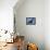 A Flying Fox Soars Above the Trees-null-Framed Stretched Canvas displayed on a wall