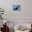 A Flying Fox Soars Above the Trees-null-Photographic Print displayed on a wall