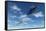 A Flying Suacer Buzzing a Boeing 747 Commercial Airliner-null-Framed Stretched Canvas