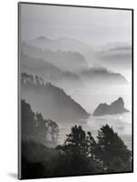 A Foggy Day on the Oregon Coast Just South of Cannon Beach.-Bennett Barthelemy-Mounted Photographic Print