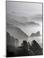 A Foggy Day on the Oregon Coast Just South of Cannon Beach.-Bennett Barthelemy-Mounted Photographic Print