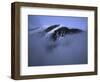 A Foggy Look at Mountain Summit, Kilimanjaro-Michael Brown-Framed Photographic Print