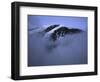 A Foggy Look at Mountain Summit, Kilimanjaro-Michael Brown-Framed Photographic Print