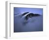 A Foggy Look at Mountain Summit, Kilimanjaro-Michael Brown-Framed Photographic Print