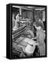 A Folding Machine in a Printworks, Mexborough, South Yorkshire, 1959-Michael Walters-Framed Stretched Canvas