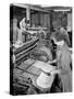 A Folding Machine in a Printworks, Mexborough, South Yorkshire, 1959-Michael Walters-Stretched Canvas