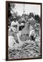 A Food Market in Darjeeling, West Bengal, India, C1910-null-Framed Giclee Print