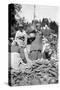 A Food Market in Darjeeling, West Bengal, India, C1910-null-Stretched Canvas