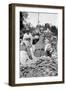 A Food Market in Darjeeling, West Bengal, India, C1910-null-Framed Giclee Print