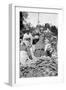 A Food Market in Darjeeling, West Bengal, India, C1910-null-Framed Giclee Print