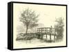 A Foot-Bridge-null-Framed Stretched Canvas