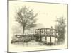 A Foot-Bridge-null-Mounted Giclee Print