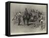 A Foraging Party Near Pretoria-Charles Edwin Fripp-Framed Stretched Canvas