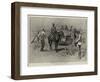 A Foraging Party Near Pretoria-Charles Edwin Fripp-Framed Giclee Print