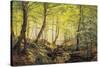 A Forest Glade-Johannes Boesen-Stretched Canvas