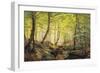 A Forest Glade-Johannes Boesen-Framed Giclee Print