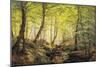 A Forest Glade-Johannes Boesen-Mounted Giclee Print