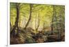 A Forest Glade-Johannes Boesen-Framed Giclee Print