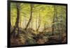 A Forest Glade-Johannes Boesen-Framed Giclee Print