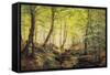 A Forest Glade-Johannes Boesen-Framed Stretched Canvas