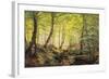 A Forest Glade-Johannes Boesen-Framed Giclee Print