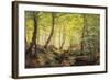 A Forest Glade-Johannes Boesen-Framed Giclee Print