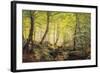 A Forest Glade-Johannes Boesen-Framed Giclee Print