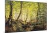 A Forest Glade-Johannes Boesen-Mounted Giclee Print