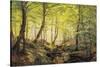 A Forest Glade-Johannes Boesen-Stretched Canvas