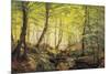 A Forest Glade-Johannes Boesen-Mounted Giclee Print