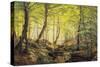 A Forest Glade-Johannes Boesen-Stretched Canvas