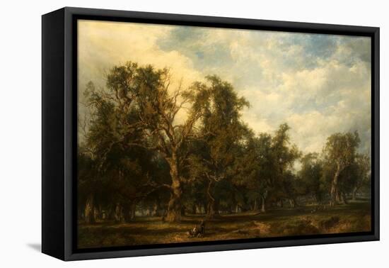 A Forest Glade-Frederick Henry Henshaw-Framed Stretched Canvas