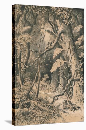 A Forest in Central Africa, c1880-null-Stretched Canvas