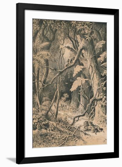 A Forest in Central Africa, c1880-null-Framed Premium Giclee Print