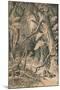 A Forest in Central Africa, c1880-null-Mounted Premium Giclee Print