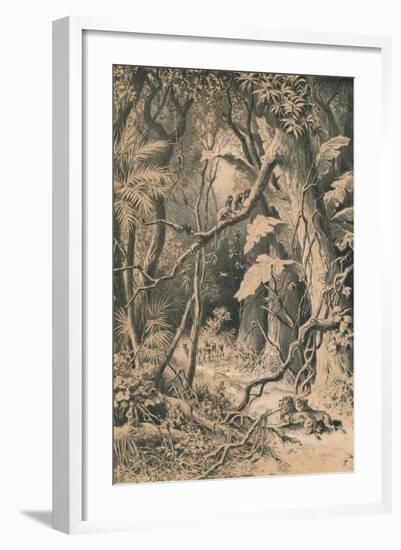 A Forest in Central Africa, c1880-null-Framed Giclee Print