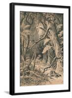 A Forest in Central Africa, c1880-null-Framed Giclee Print