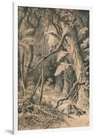 A Forest in Central Africa, c1880-null-Framed Giclee Print