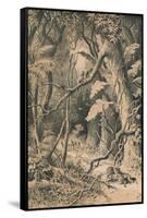 A Forest in Central Africa, c1880-null-Framed Stretched Canvas