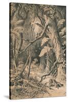 A Forest in Central Africa, c1880-null-Stretched Canvas