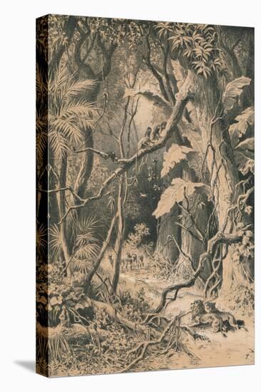 A Forest in Central Africa, c1880-null-Stretched Canvas