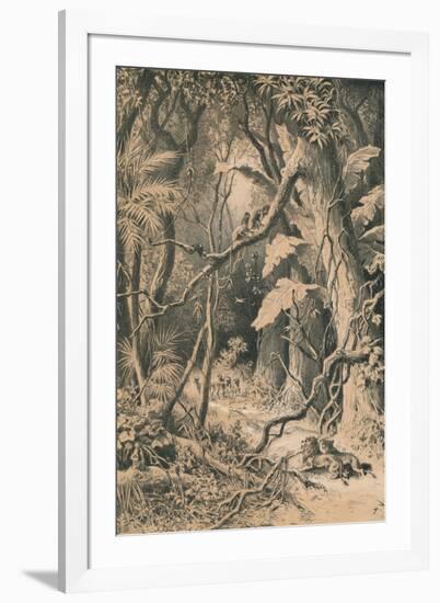 A Forest in Central Africa, c1880-null-Framed Giclee Print