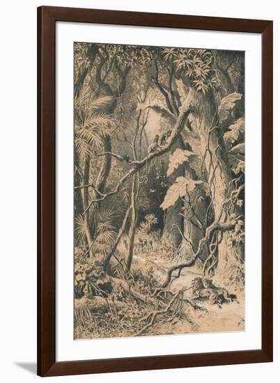 A Forest in Central Africa, c1880-null-Framed Giclee Print
