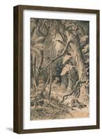 A Forest in Central Africa, c1880-null-Framed Giclee Print
