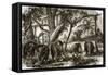 A Forest in Ceylon-English-Framed Stretched Canvas