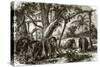 A Forest in Ceylon-English-Stretched Canvas