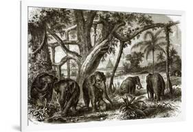 A Forest in Ceylon-English-Framed Giclee Print