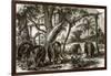 A Forest in Ceylon-English-Framed Giclee Print