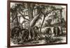 A Forest in Ceylon-English-Framed Giclee Print