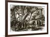 A Forest in Ceylon-English-Framed Premium Giclee Print
